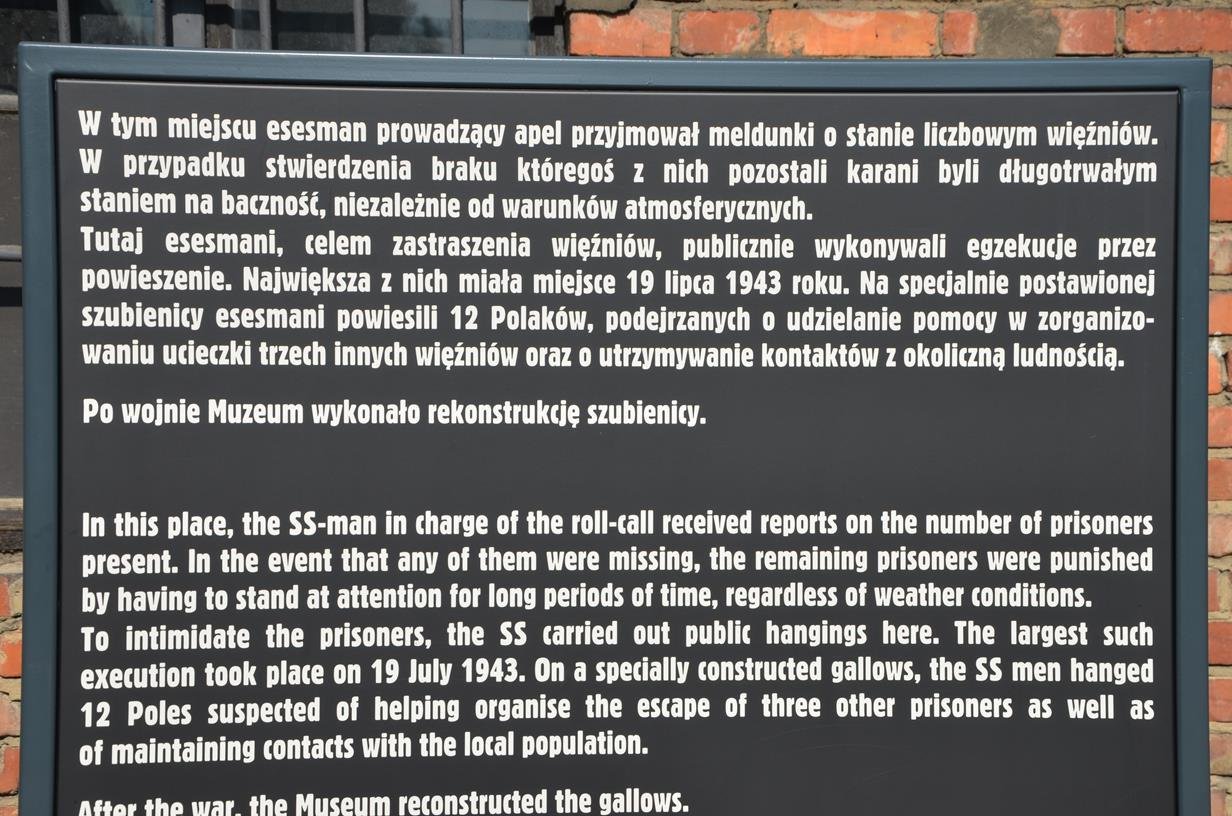 Pielgrzymka2-14